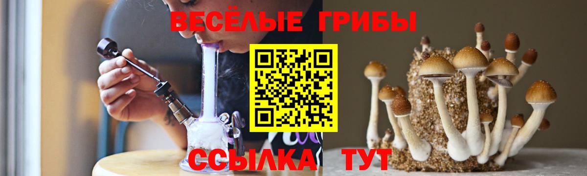Галлюциногенные грибы Cubensis Обь